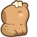 joelpoulainp_ws