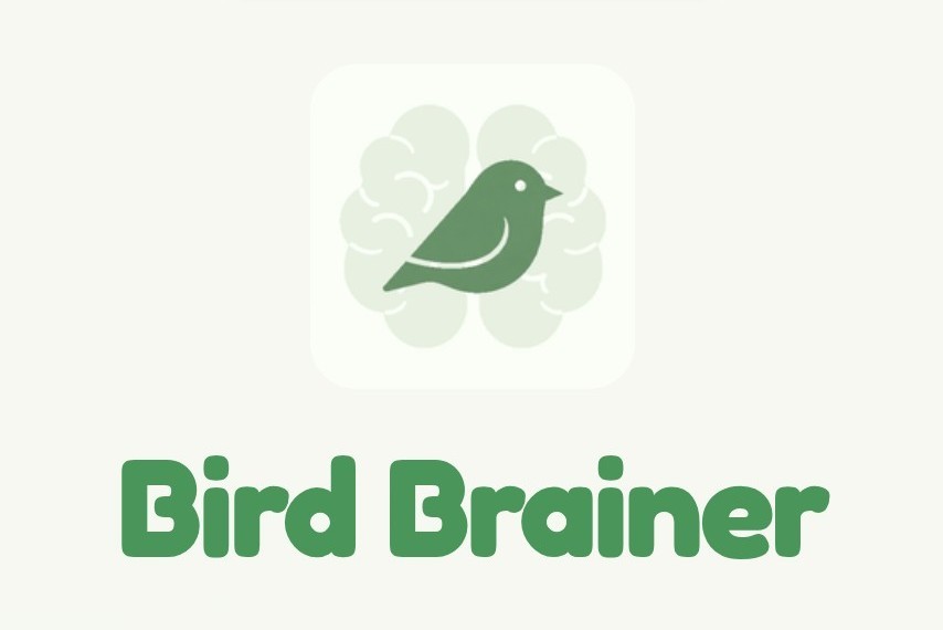A logo depicting a dark-green bird superimposed over a light-green brain with the words "Bird Brainer" underneath 🙂