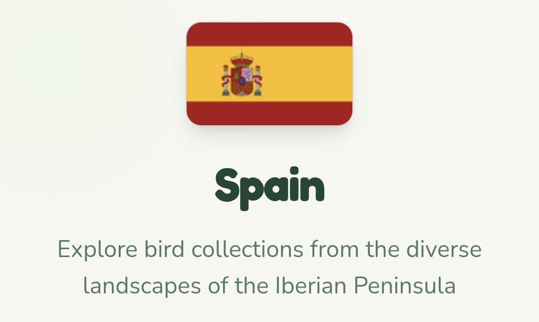 Text below an image of the flag of Spain:

Spain

Explore bird collections from the diverse landscapes of the Iberian Peninsula