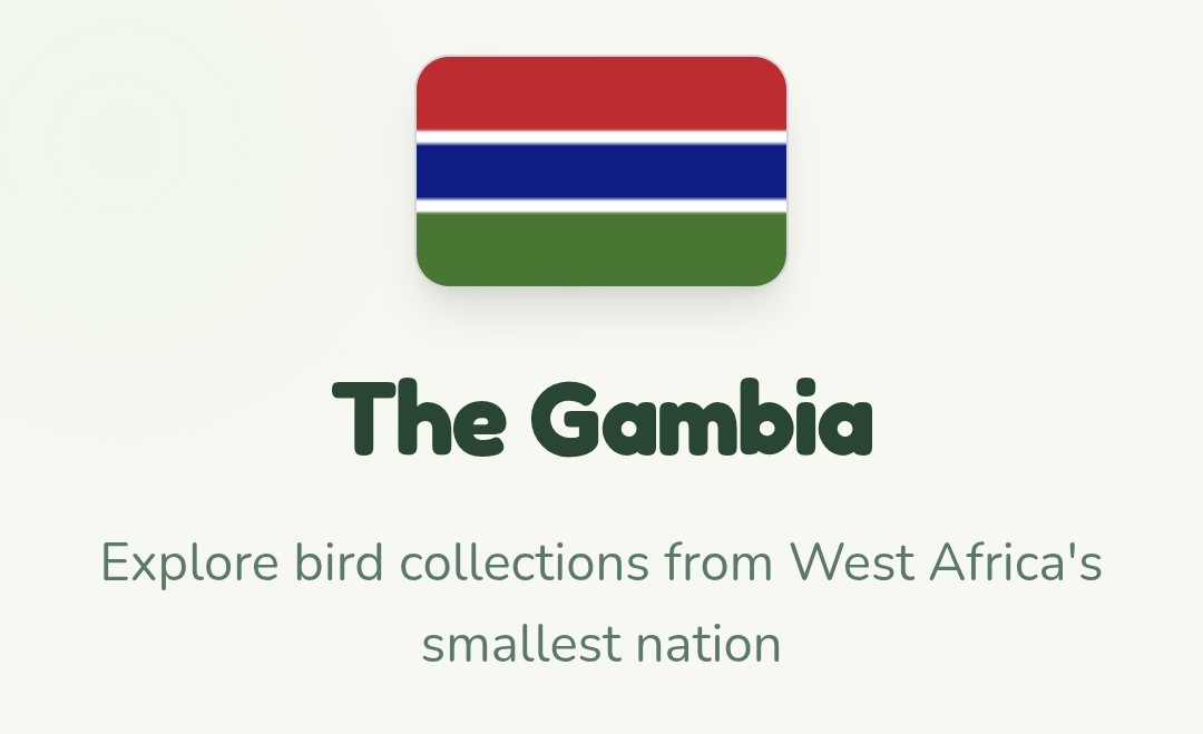 Text below an image of the flag of The Gambia:

The Gambia

Explore bird collections from West Africa's smallest nation