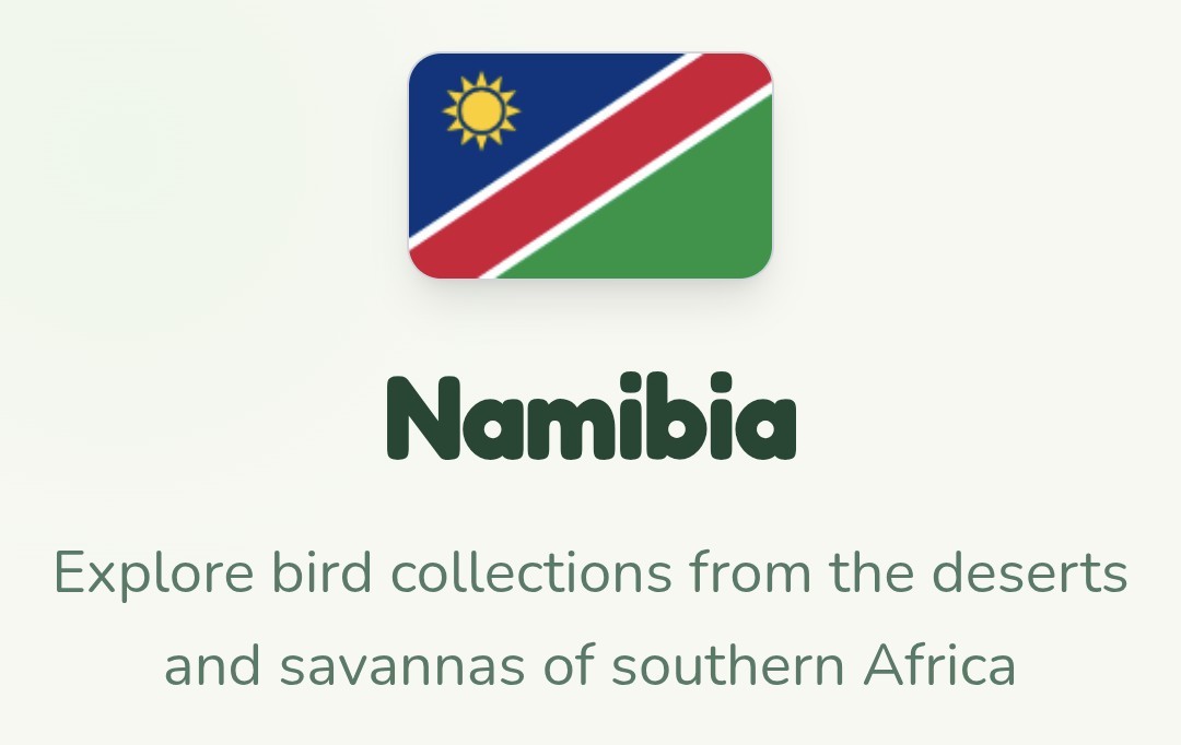 Text below an image of the flag of Namibia:

Namibia

Explore bird collections from the deserts and savannas of southern Africa