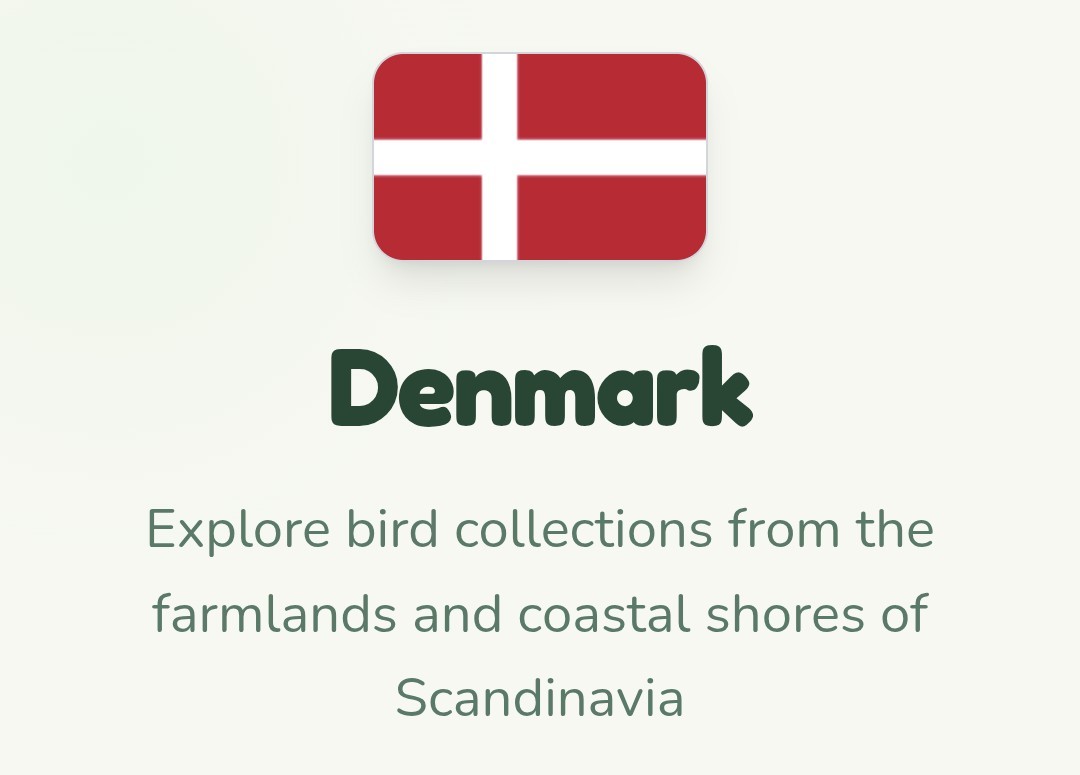 Text below an image of the flag of Denmark: 

Denmark

Explore bird collections from the farmlands and coastal shores of Scandinavia