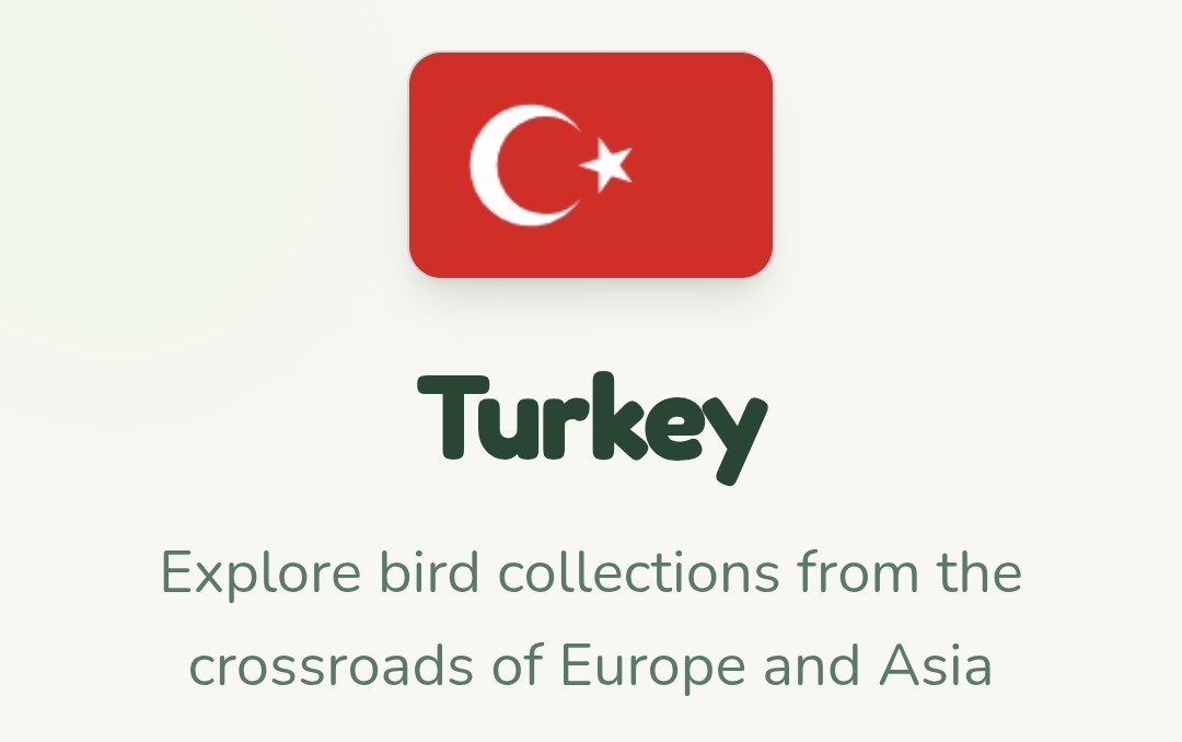 Text below an image of the flag of Turkey:

Turkey

Explore bird collections from the crossroads of Europe and Asia