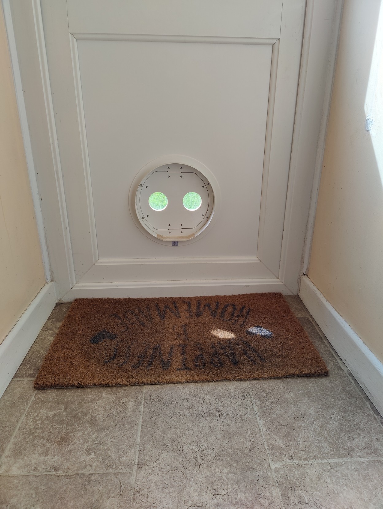 Indoors view of a white back door with a white Petflap fitted. Sunlight comes through the Petflap windows throwing two pools of light onto the doormat.